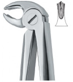 Lower Molars ,Universal 22