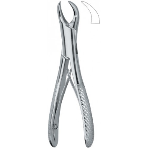 Molars 23SK