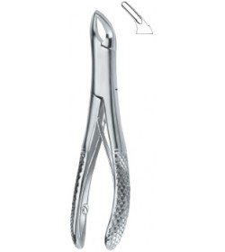 Teeth and Roots, Universal 151Sk