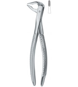 Tooth Ext Forceps