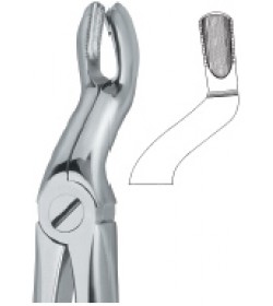 Tooth Ext Forceps