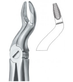 Tooth Ext Forceps