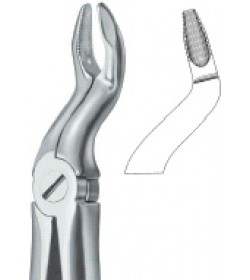 Third Molars Deep Griping 67 N