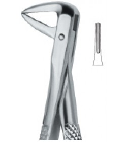 Incisors and Roots 74N