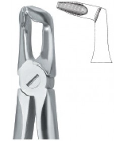 Third Molars ,Deep Gripping 79N