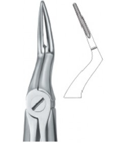 Tooth Ext Forceps