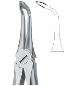 Roots Fragments, Deep Griping 146