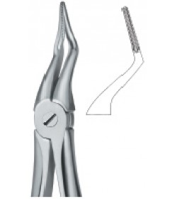 Tooth Ext Forceps