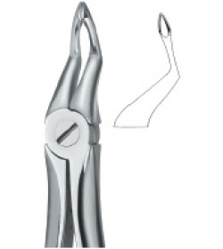 Tooth Ext Forceps