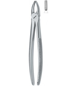 Incisors and Bicuspids 1