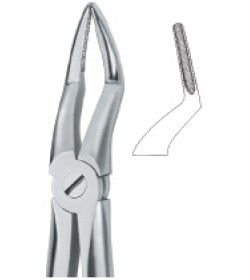 Roots , With Fine Beak 51A