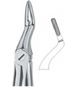 Martin Ergo ,Very Fine Roots 97