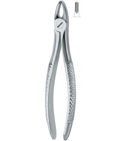 Incisors and bicuspids 37