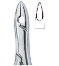 Incisors and Bicuspids 1