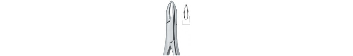 Tooth Extracting Forceps|(amr)