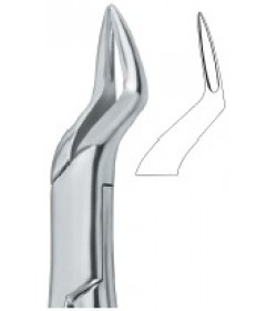 Incisors and Roots 65