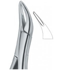 Tomes Roots Fragments and Small Roots 69