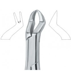 Nevius Molars , Left 88L