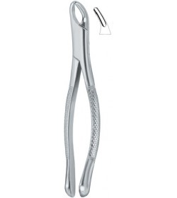 Cryer Bicuspids , Incisors and Roots 150