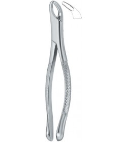 Cryer Bicuspids , Incisors and Roots 151