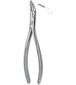 Root Fragments and Universal 501