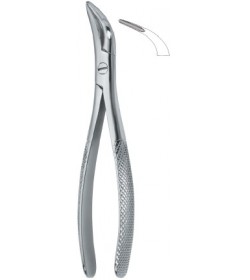 Witzel Root Fragments and Universal 502