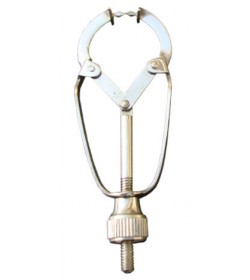 Matrix Retainer Ivory With Shield