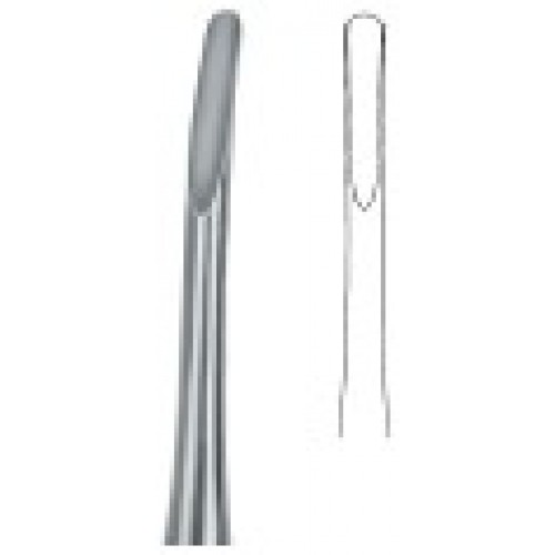 Apical 2A