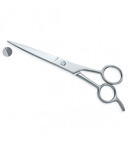 Barber Scissors with Finger Rest