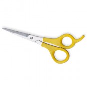 Plastic Handle Scissors