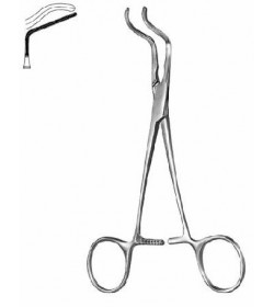 Subramanian-Miniature