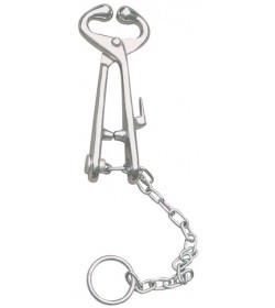 Bull Holder With Chain