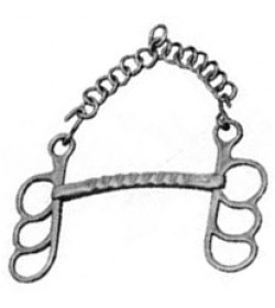 Equestrian Equipment