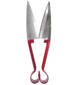 Sheep Shears